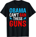 Obama Cant Ban These Guns