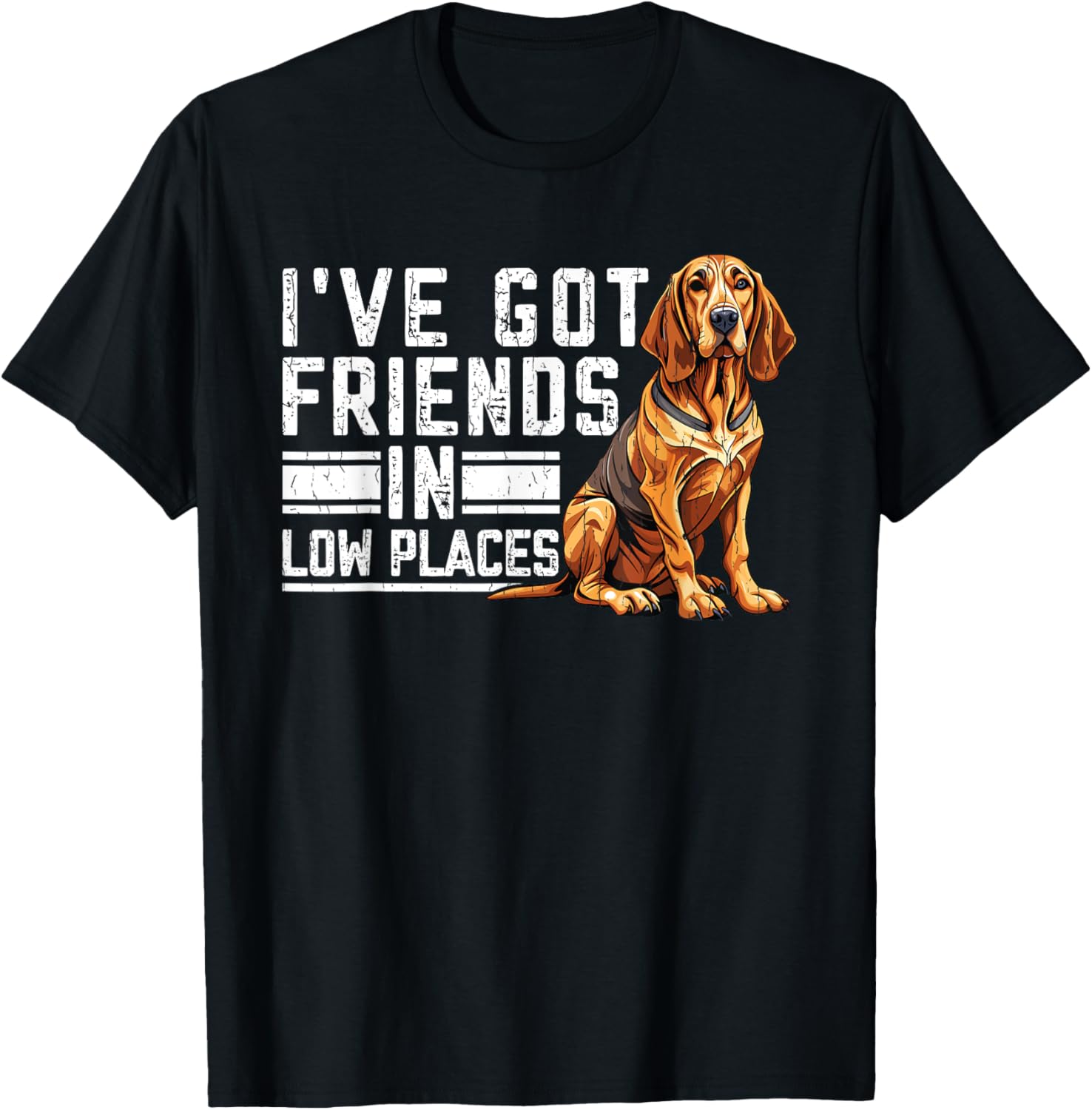Basset Hound Dog Breed I've Got Friends in Low Places
