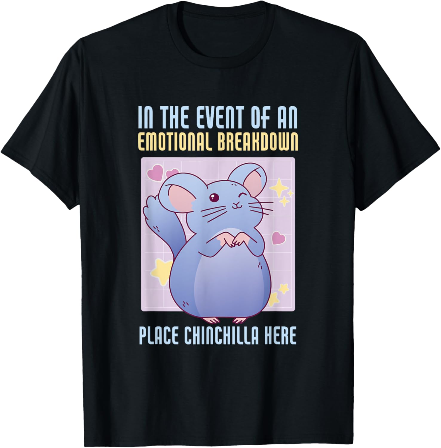 Emotional Breakdown Place Chinchilla Here