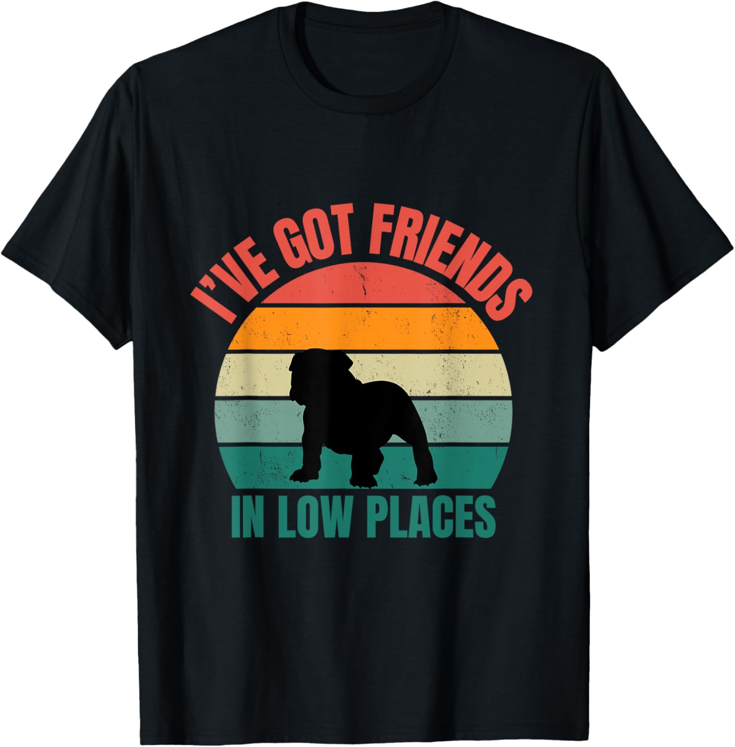 Bulldog Owner I've Got Friends In Low Places T-Shirt for Men Women Kids