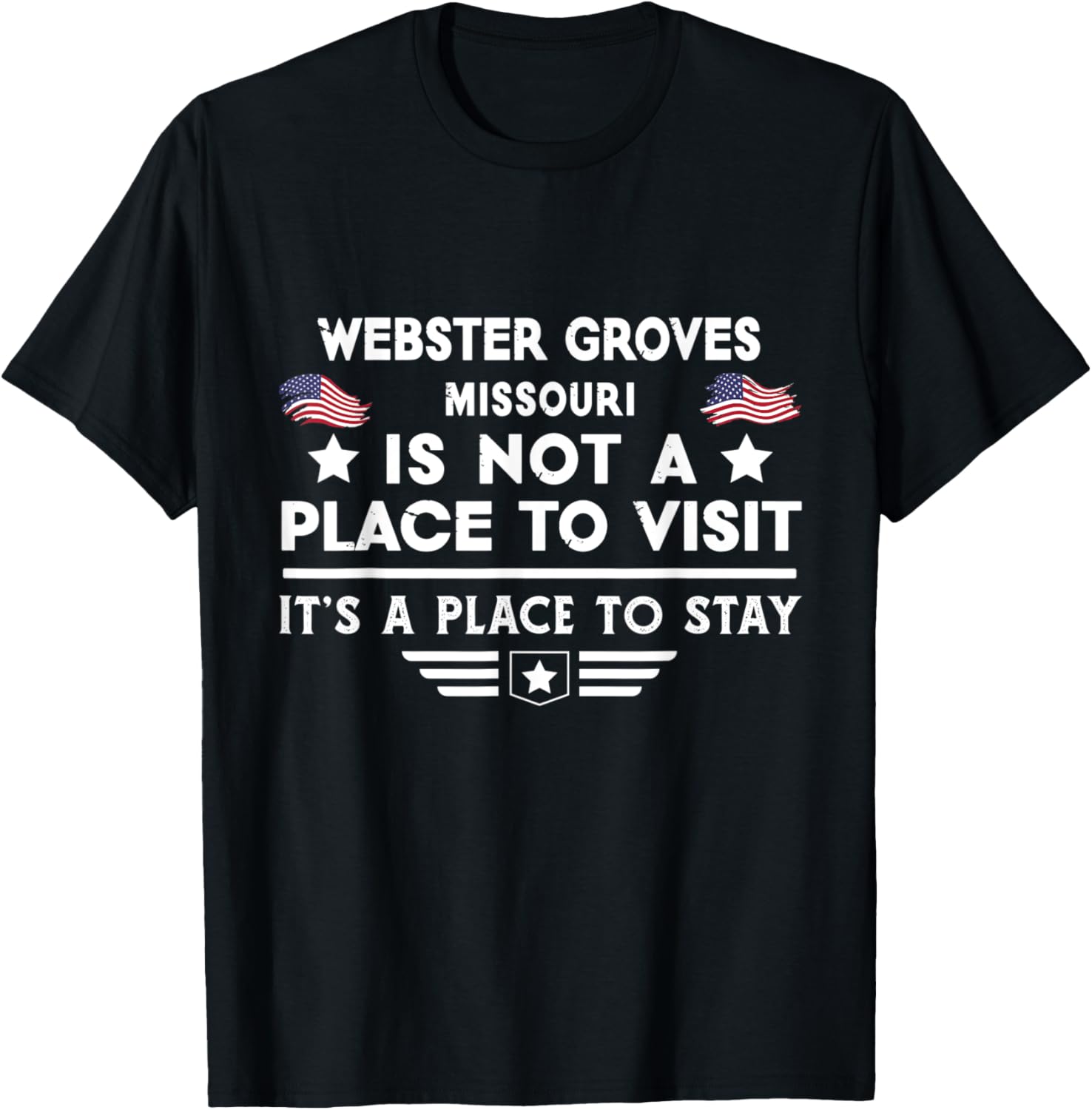 Webster Groves Missouri Place to stay USA Town Home City