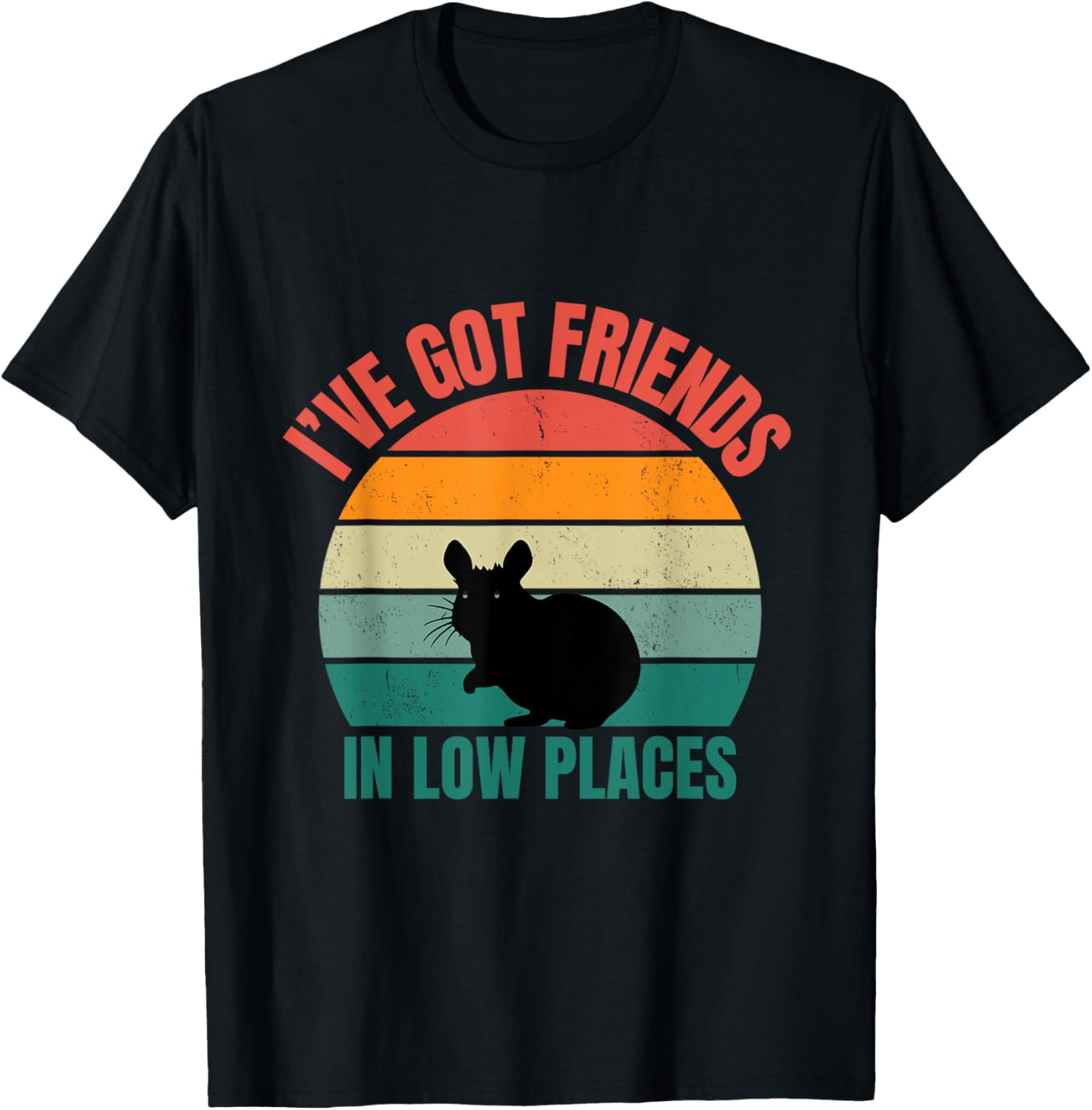 I've Got Friends In Low Places Chinchilla Design