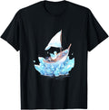 Ice Sailing Duck Ice Sailor Ice Boating Yachting