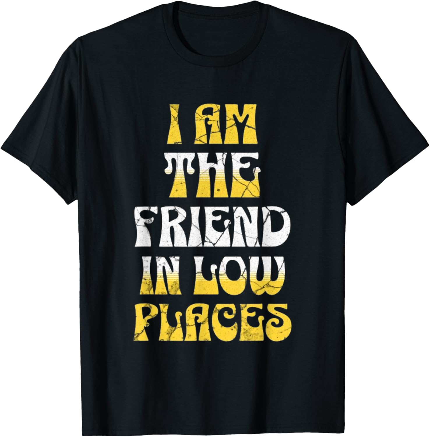 I Am The Friend In Low Places Funny Best friend