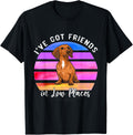 I've Got Friends In Low Places Dachshund Dog Men Women Kids