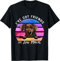 I've Got Friends In Low Places Serbian hound Dog