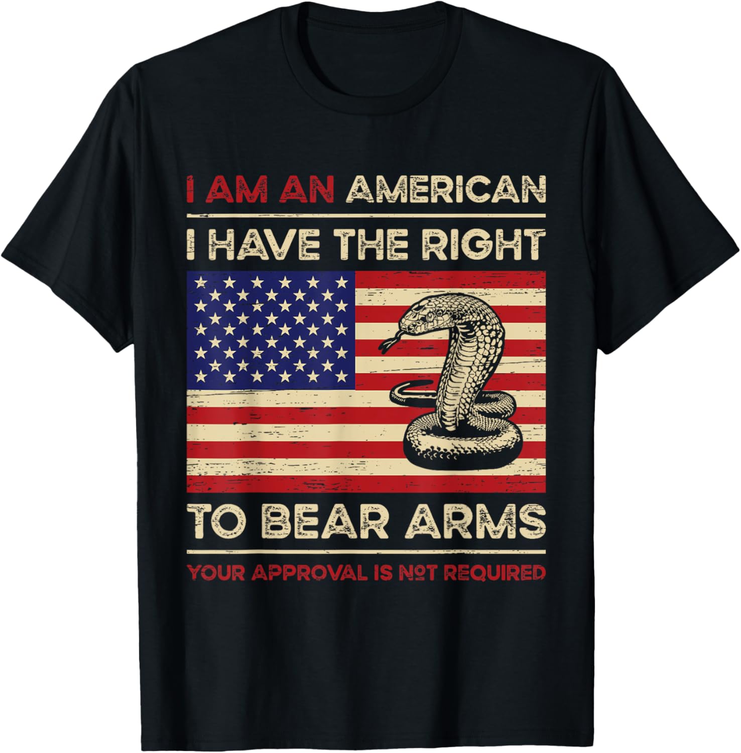 Pro Gun Second Amendment