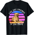 I've Got Friends In Low Places Golden Retriever Dog