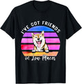 I've Got Friends In Low Places Shiba inu Dog