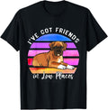 I've Got Friends In Low Places Boxer Dog