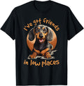 Dachshund wiener sausage dog I've Got Friends In Low Places T-Shirt for Men Women Girls Kids