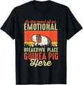 In The Event Of An Emotional Breakdown Place Guinea Pig Here