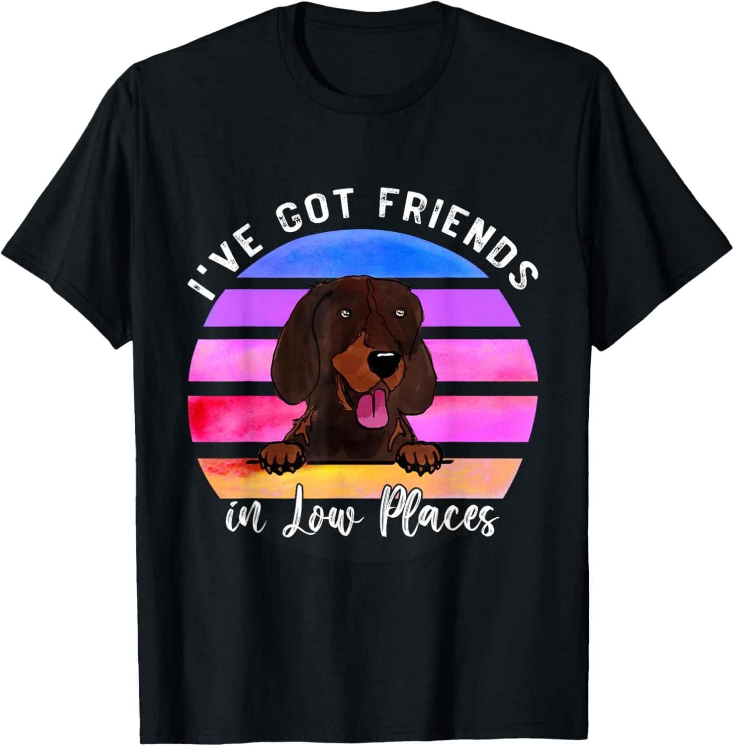 I've Got Friends In Low Places Segugio maremmano Dog