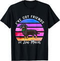 I've Got Friends In Low Places Dachshund Dog T-Shirt for Men Women Kids