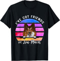 I've Got Friends In Low Places Sheltie Dog T-Shirt for Men Women Kids
