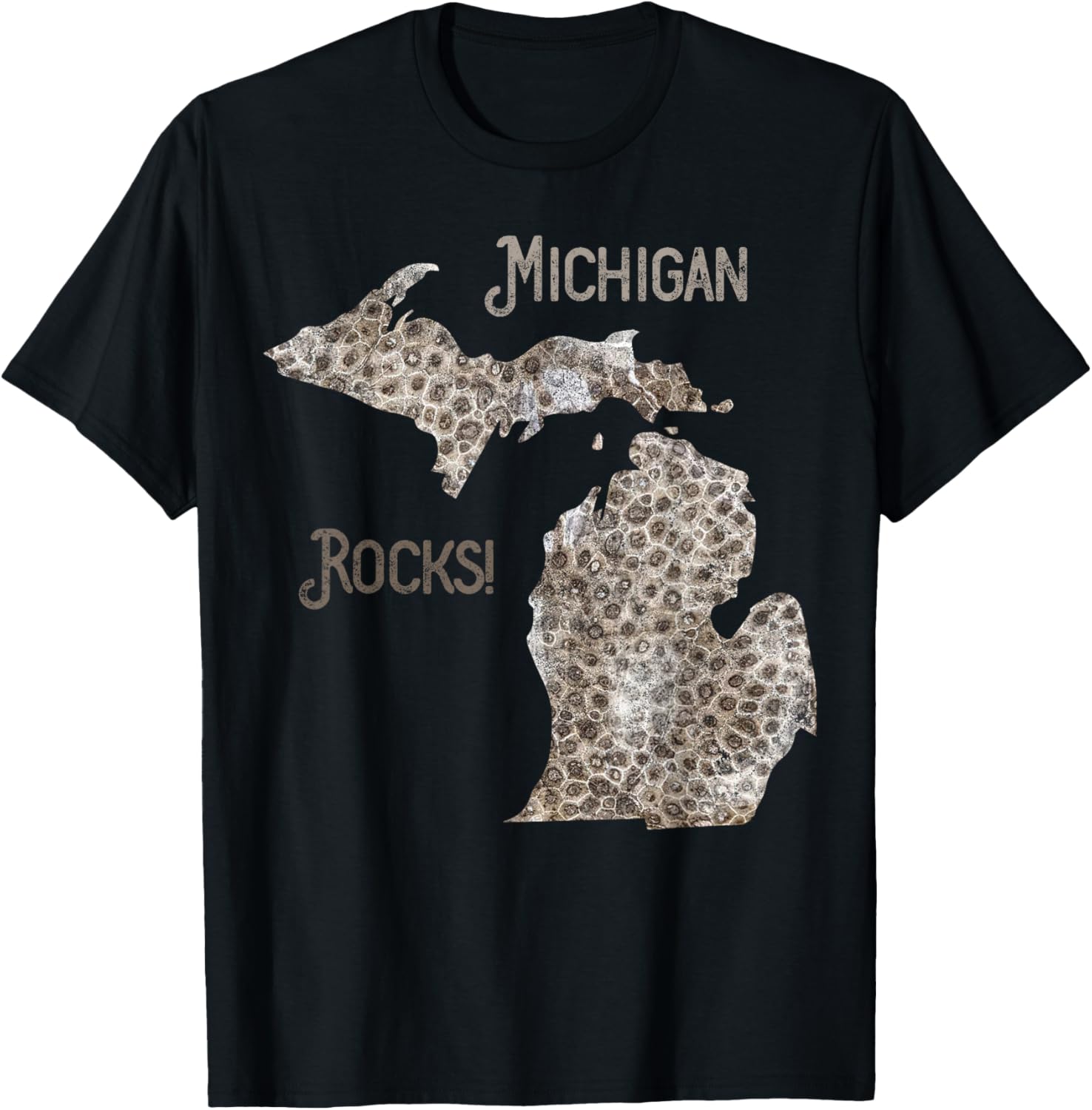 Michigan Rocks Petoskey Stone Hunting Great Lakes State