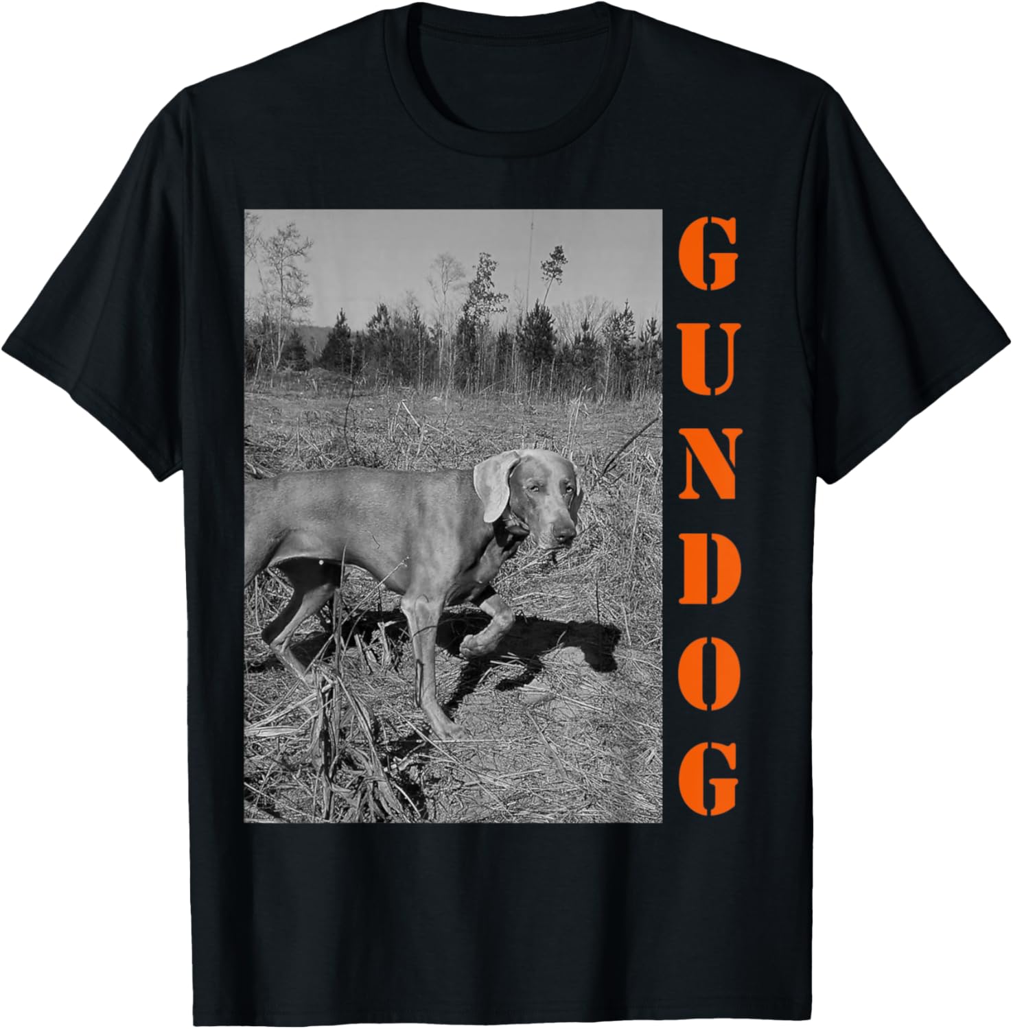 A Better Value Pointing Weimaraner Gun Dog