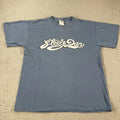 Vintage Steely Dan Rent Party 09 Blue Tour New York City Y2K T-Shirt